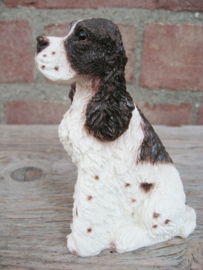 beeldje Engelse Springer spaniel zittend