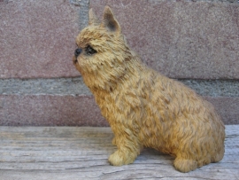 beeldje Belgische Griffon rood