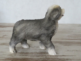 beeldje Bearded Collie staand