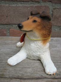 beeldje Schotse Collie puppy