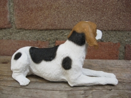 beeldje American Foxhound