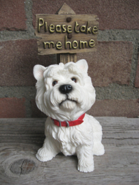 beeldje West Highland White Terriër 'Please take me home'