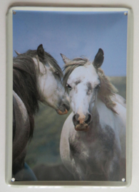 metalen bordje Twee paarden