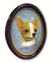 portret/kop Chihuahua korthaar