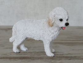 beeldje Cockapoo wit