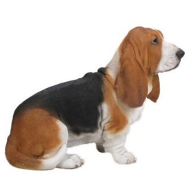 groot beeld Basset hound 53 cm