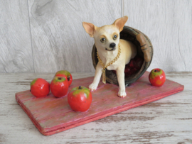 beeldje Chihuahua korthaar met appeltjes