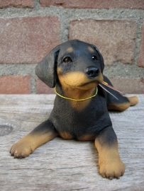 beeldje Dobermann puppy