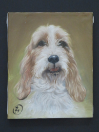 canvas reproductie Basset Griffon Vendeen