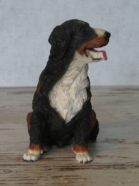 beeldje Berner Sennenhond zittend