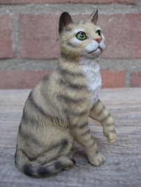 Kattenbeeldje / poezenbeeldje bruin tabby zittend