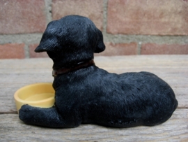 beeldje Labrador zwart met voerbakje