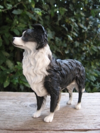 beeldje Border Collie staand