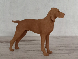 beeldje Vizsla