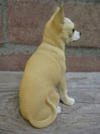 beeldje Chihuahua tan/wit