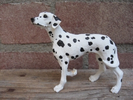 beeldje Dalmatier