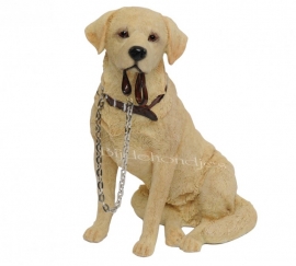 beeldje Labrador blond met riem