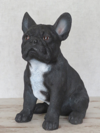 beeldje Franse Bulldog zwart | 30 cm