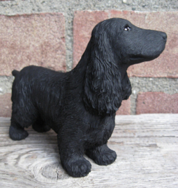 beeldje Engelse Cocker spaniel zwart