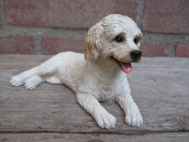 beeldje Labradoodle blond