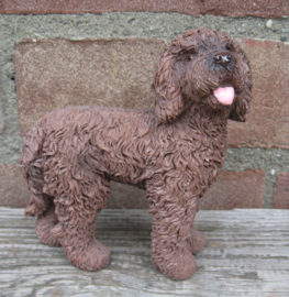 beeldje Labradoodle chocolate