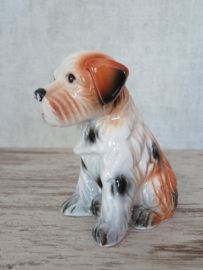 Terrierpup vintage