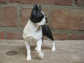 beeldje Boston Terrier staand