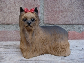 beeldje Yorkshire Terrier