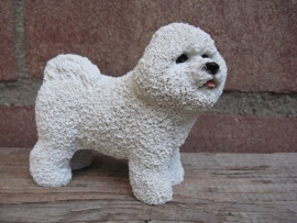 beeldje Bichon Frise