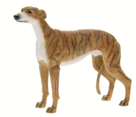 beeldje Greyhound brindle