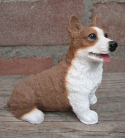 asbeeldje Welsh Corgi Pembroke