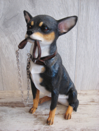 beeldje Chihuahua met riem tricolour