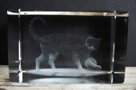 3D laserblokje / glasblokje kat
