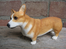 beeldje Welsh Corgi Pembroke