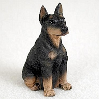 miniatuur Dobermann black & tan gecoupeerd
