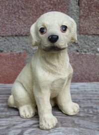 beeldje zittende blonde Labrador puppy