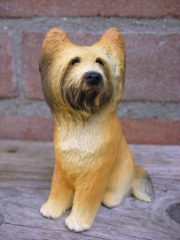 beeldje Briard