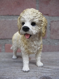 beeldje Cockapoo blond