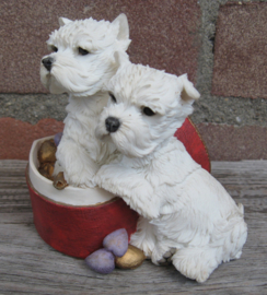 beeldje West Highland White Terriër pups