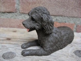 beeldje Labradoodle chocolate