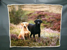 plaid met blonde en zwarte Labrador