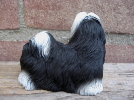 beeldje Shih Tzu zwart-wit