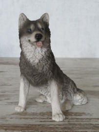 beeldje Husky zittend