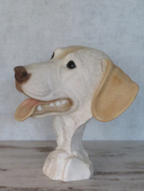 Labrador kop vintage