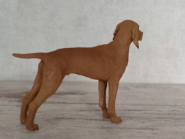 beeldje Hongaarse Vizsla