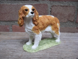 beeldje Cavalier King Charles spaniel blenheim