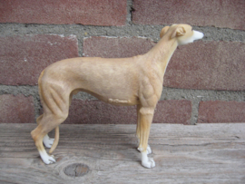 beeldje Greyhound tan-wit