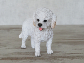 beeldje Cockapoo wit