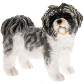 beeldje Shih Tzu grijs-wit staand