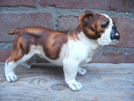 beeldje Engelse Bulldog vintage